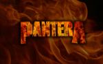 Pantera Flames.jpg