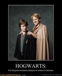 funny-harry-potter-demotivationals03.jpg